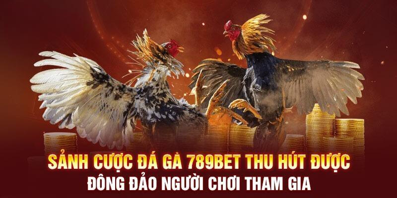 đánh bài an toàn Đà Nẵng thủ thuật